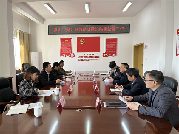 11月24日，黃山市委組織部部長(zhǎng)程峰率隊(duì)調(diào)研黃山徽投集團(tuán)黨建工作，洪董作匯報(bào).jpg